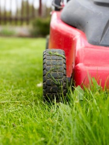 RX-iStock-157713834_Grass_Cutting_Heighs_Mower_v.jpg.rend.hgtvcom.1280.1707