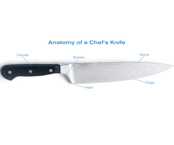 anatomy of a great chef's knife