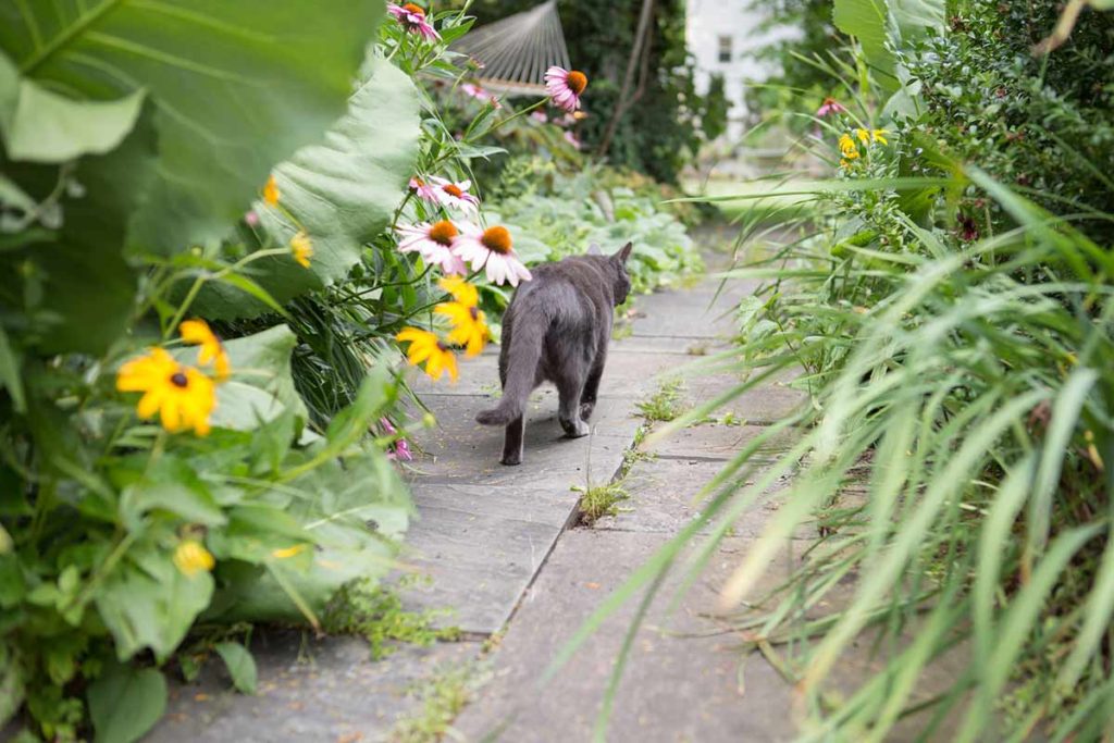 How to Make an Attractive Garden Pathway
