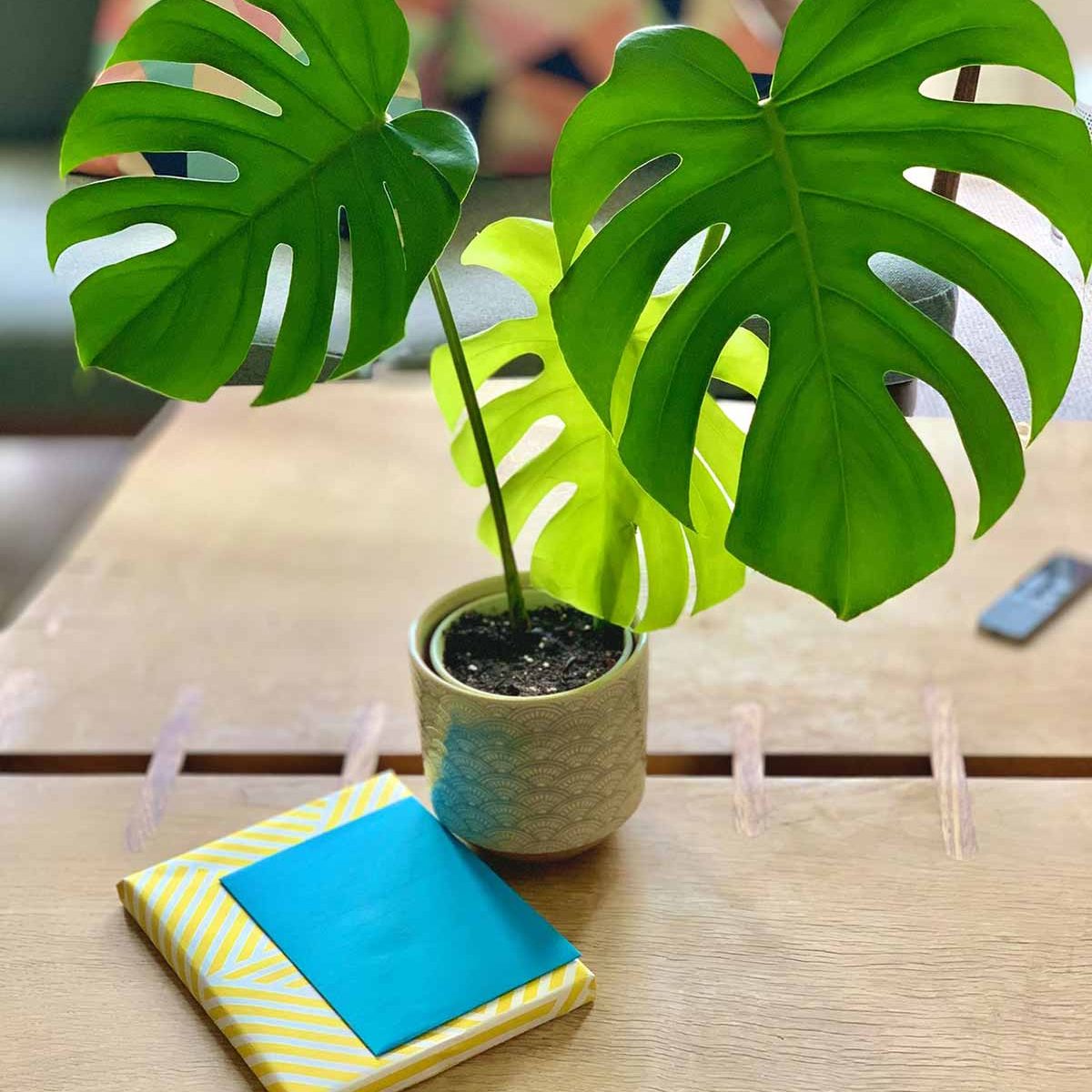 What’s More Exciting Than Revamping Your Home Decor