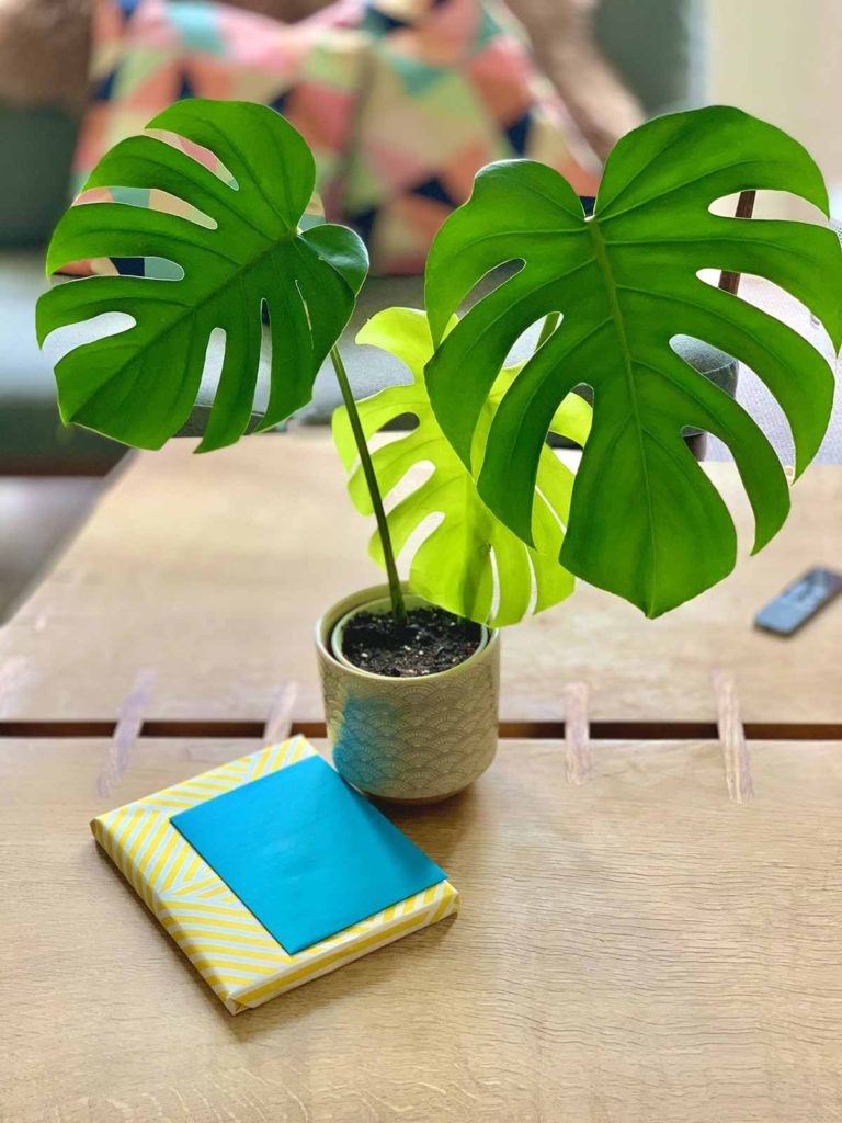 What’s More Exciting Than Revamping Your Home Decor