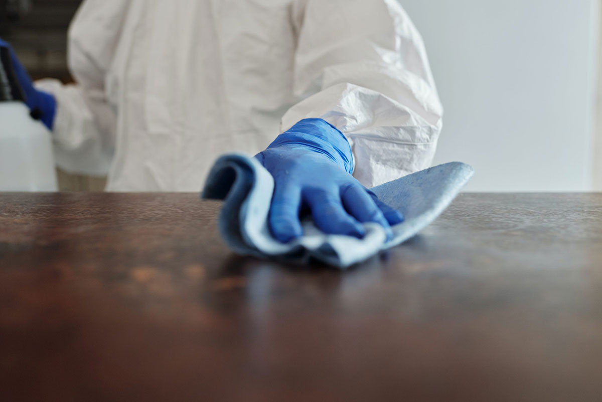 remove mold from furniture
