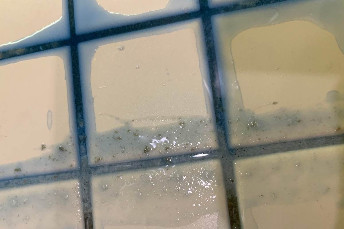 Blue Toilet Bowl Cleaner to Clean Grout Lines