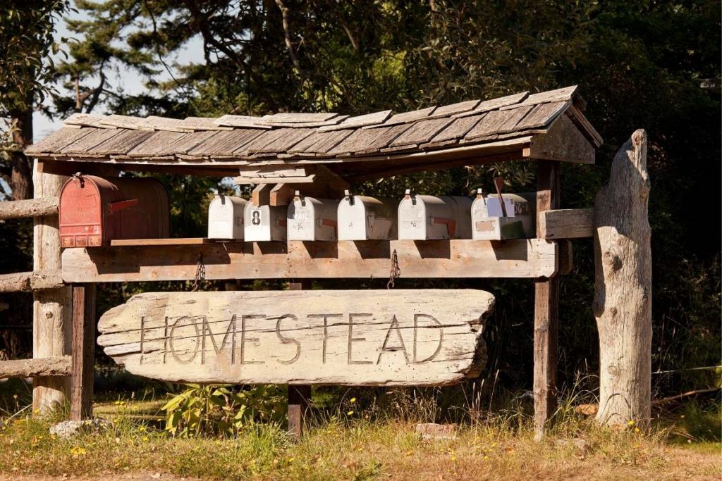 Start a Homestead