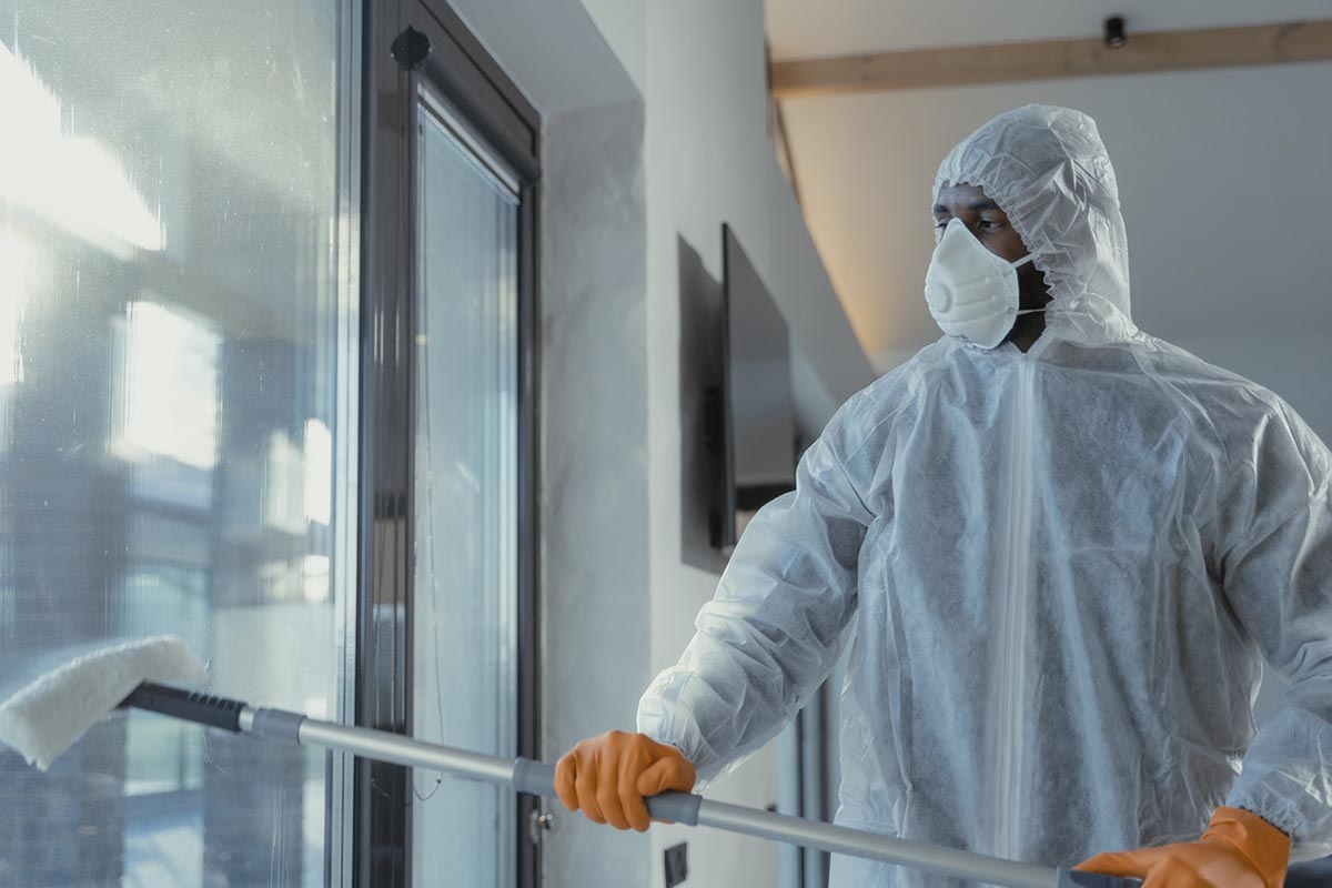Professional window cleaner