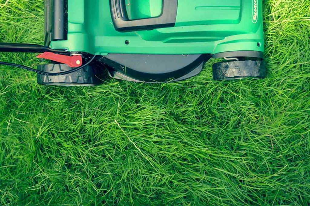 How Soon After Spraying Weeds Can I Mow