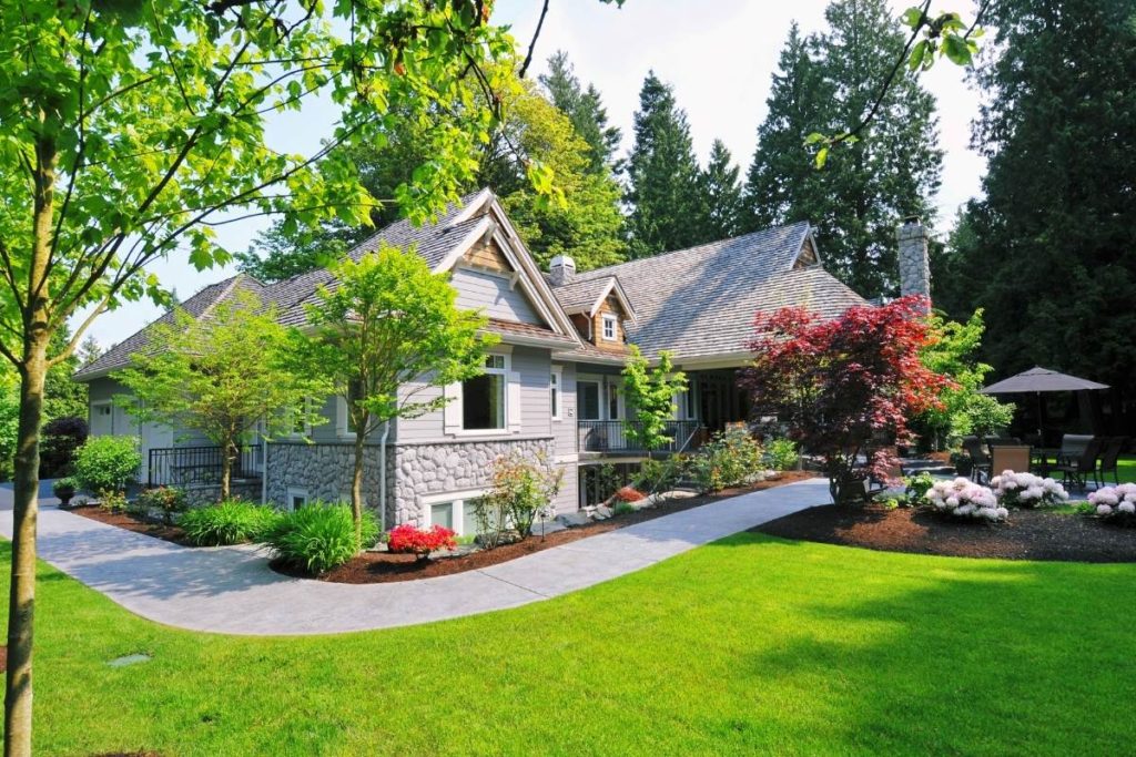 Turning Yard Into a Paradise