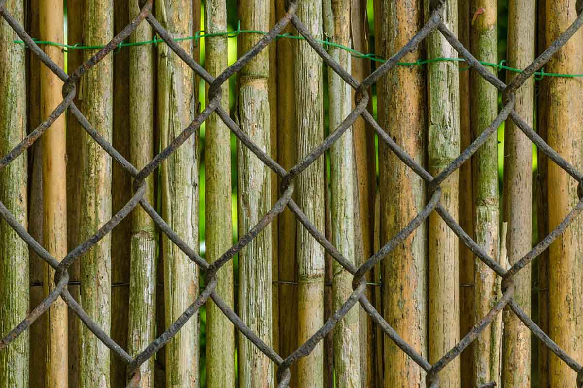Chain Link Fence covered with Bamboo Pole Screens