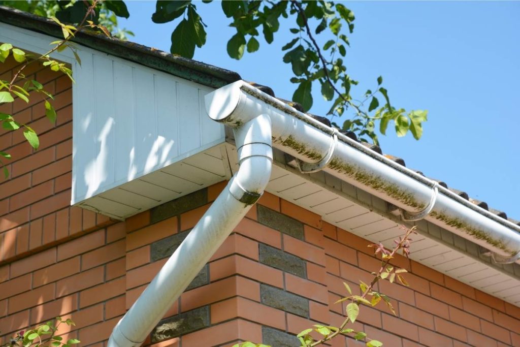 Gutter Maintenance Issues
