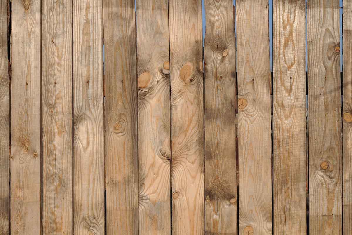 Wooden Fence Panels cover chain link fence