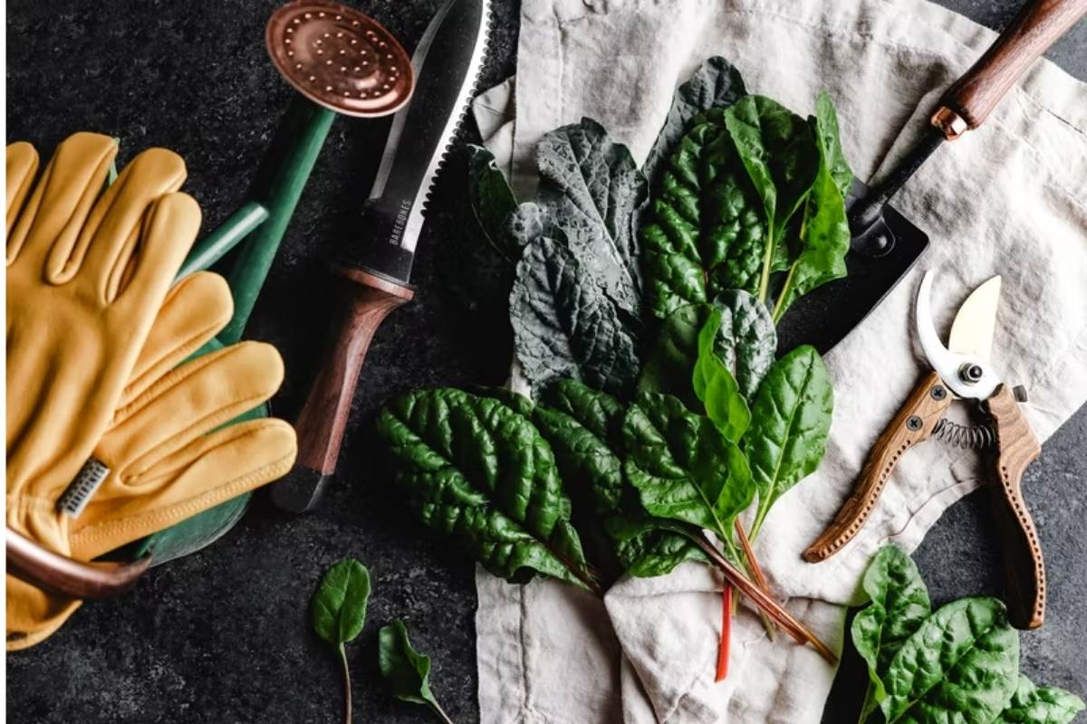 home garden tools
