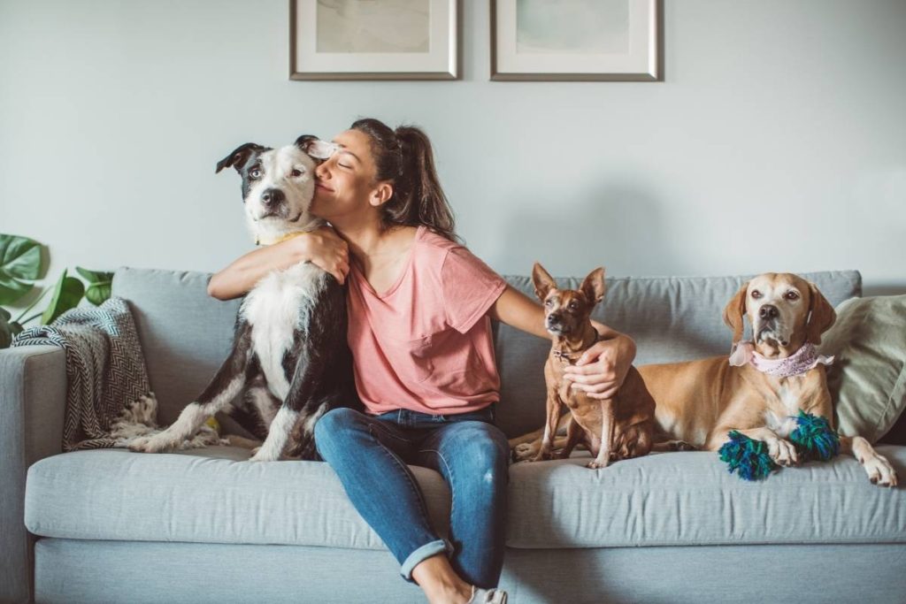 How Animals Make a Home