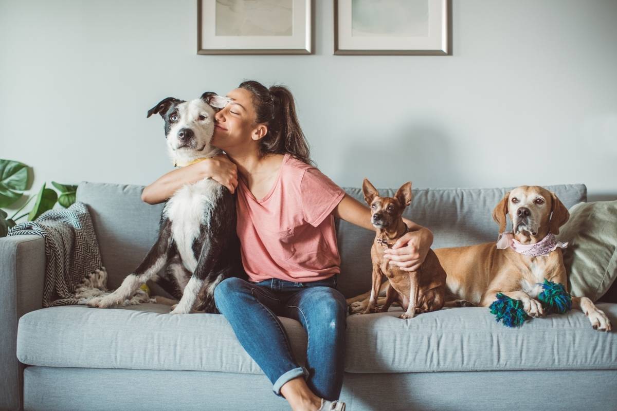How Animals Make a Home