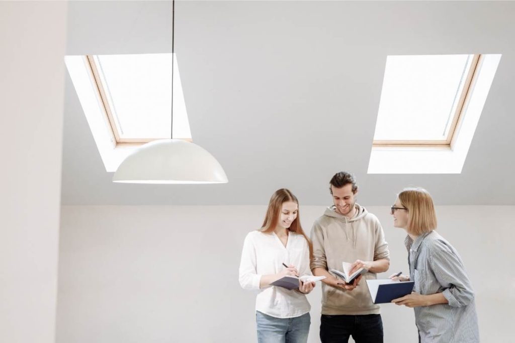 Choosing Rooflights