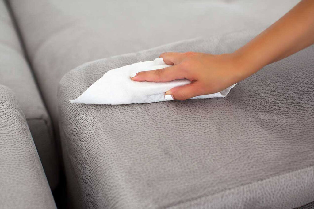Woman Cleaning Pee Smell Out of Couch