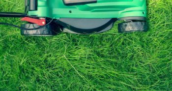 How Soon After Spraying Weeds Can I Mow